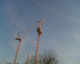 070405.cranes_t.gif