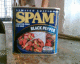 050617.spam_2_t.gif