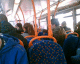 060319.bus_t.gif