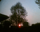060509.sunset_t.gif