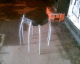 060807.Spider_stool_t.gif