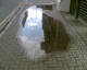 060930.Puddle_t.gif