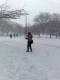 080222.Snow_Fight_Central_Park_t.gif