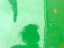 080711.Green_too_t.gif