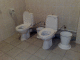 080906.Toilet_t.gif