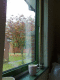 081014.Dad's_view_t.gif