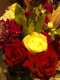081102.Flowers1_t.gif