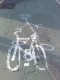 090316.cyclist_sign_t.gif