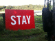 090910.Stay_t.gif