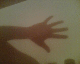 051205.hand_shadow_t.gif